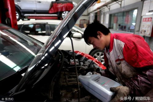 欧洲汽车保养多少公里